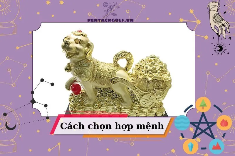 Tượng Chú Chó Phong Thủy và Sự Hợp Mệnh Của Gia Chủ