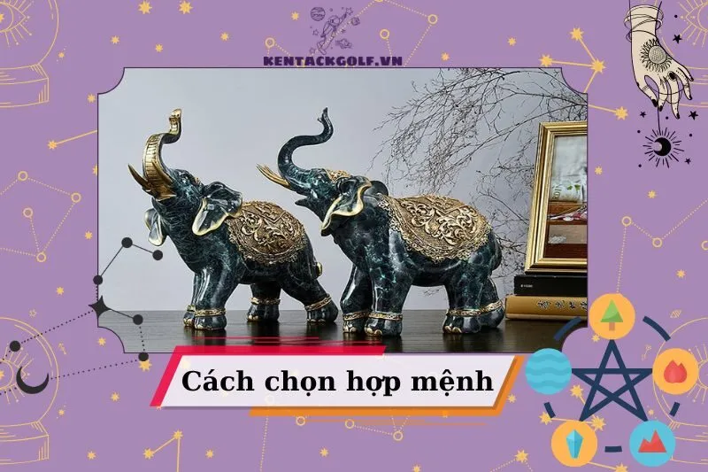 Cách Chọn Tượng Voi Phong Thủy Hợp Mệnh