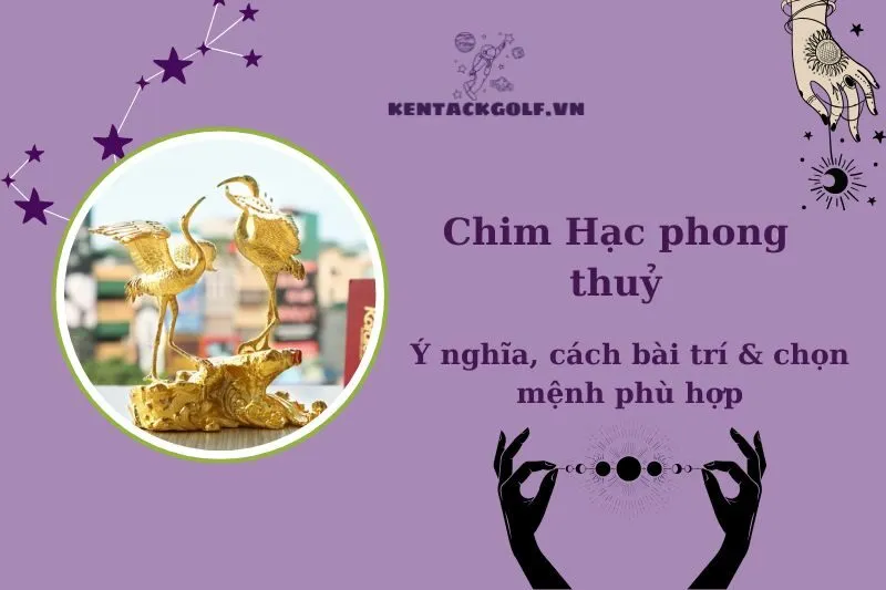 Chim Hạc Phong Thủy 2025: Ý Nghĩa, Cách Bài Trí, và Cách Chọn Hợp Mệnh