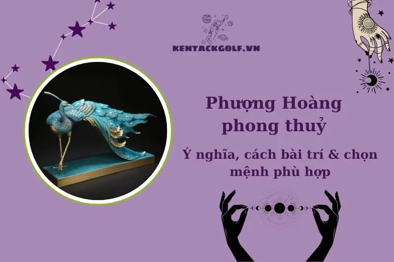 Phượng Hoàng Phong Thủy 2025: Ý Nghĩa, Cách Bài Trí và Lựa Chọn Linh Vật