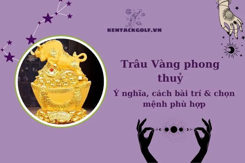 Trâu Vàng Phong Thủy 2025: Ý Nghĩa, Cách Bài Trí và Chọn Hợp Mệnh