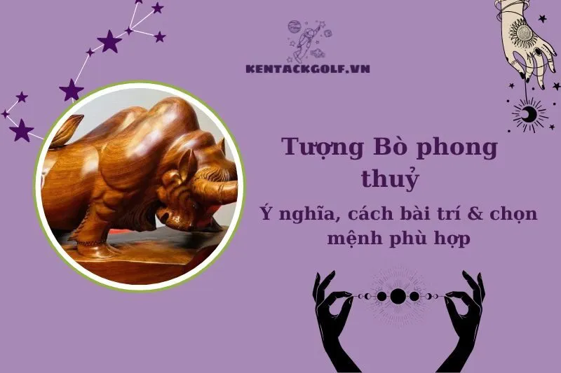 Tượng Bò Phong Thủy 2025: Ý Nghĩa, Cách Đặt và Lựa Chọn Đúng Phong Thủy