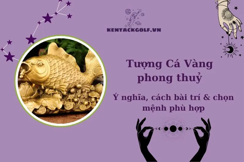 Tượng Cá Vàng Phong Thủy 2025: Ý Nghĩa, Cách Chọn và Bài Trí Đúng Cách