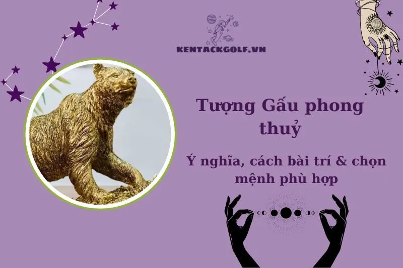 Tượng Gấu Phong Thủy 2025: Ý Nghĩa, Cách Chọn và Bày Trí Đúng