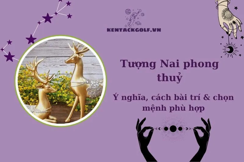 Tượng Nai Phong Thủy 2025: Ý Nghĩa, Tác Dụng và Cách Bài Trí Hợp Mệnh