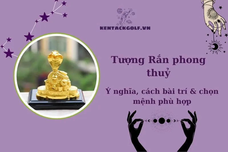 Tượng Rắn Phong Thủy 2025: Ý Nghĩa, Cách Bài Trí, Lựa Chọn Hợp Mệnh