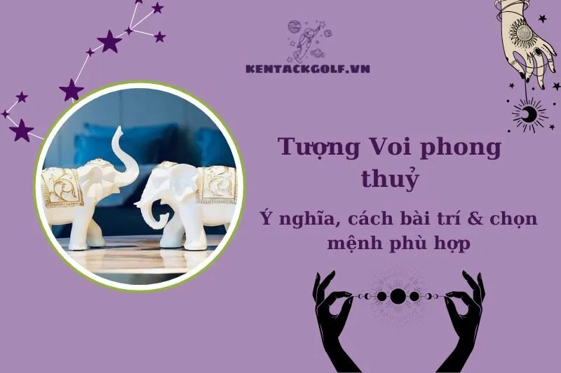 Tượng Voi Phong Thủy: Ý Nghĩa, Cách Chọn và Bài Trí 2025