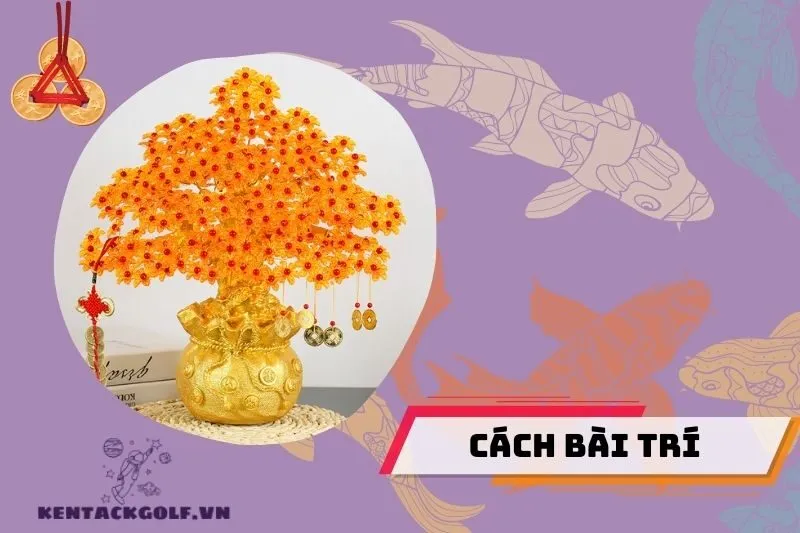 Cách bài trí cây kim tiền để thu hút tài lộc và may mắn