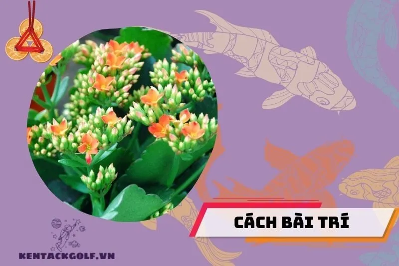 Cách bài trí cây sống đời trong không gian sống và làm việc