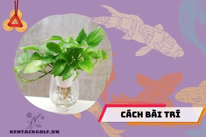 Cách đặt cây trong nhà để thu hút tài lộc