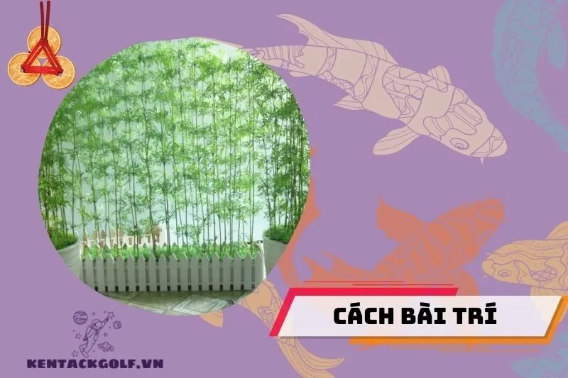Cách bài trí cây trúc quân tử để tăng may mắn và tài lộc