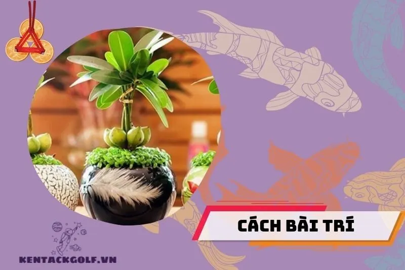 Cách bố trí cây cảnh phong thủy đúng cách để tối ưu tài lộc