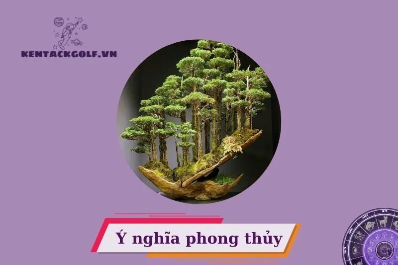 Ý nghĩa và công dụng của cây bonsai phong thủy