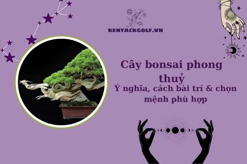 Khám phá cây bonsai phong thủy: Ý nghĩa, cách chọn và chăm sóc