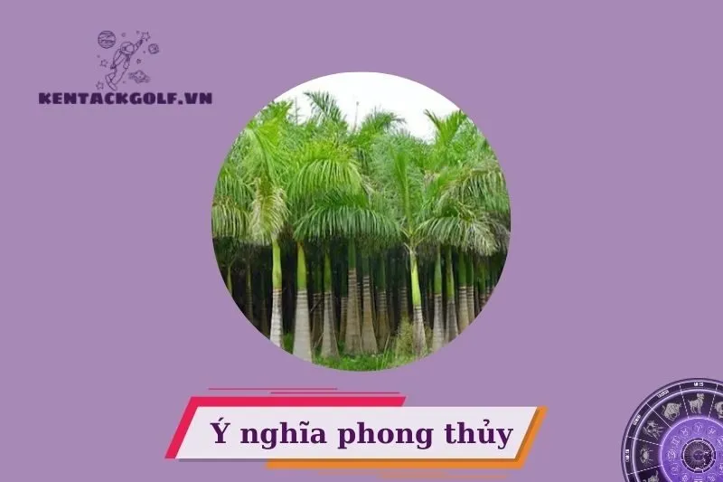 Ý nghĩa phong thủy của cây cau vua trong đời sống hiện đại