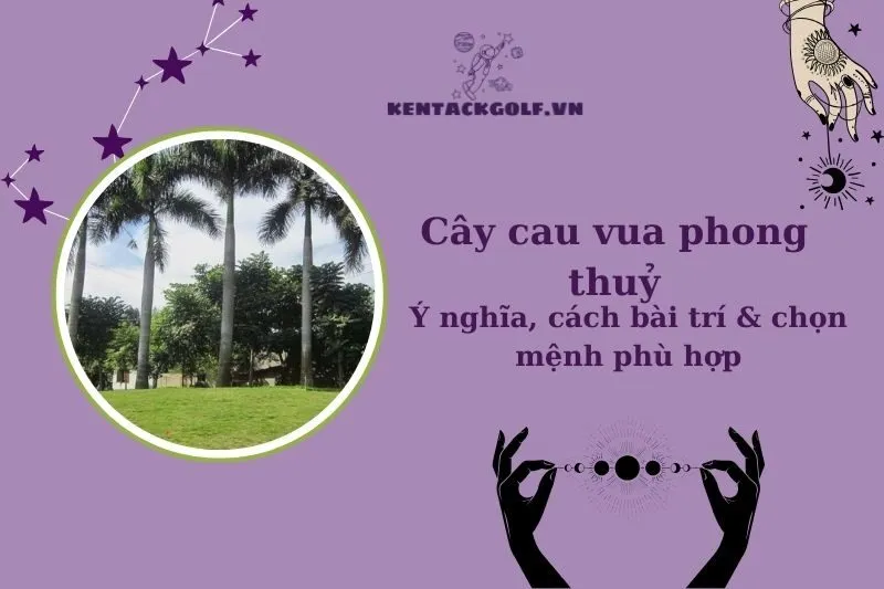 Cây cau vua phong thủy: Ý nghĩa, cách trồng, hợp mệnh nào?
