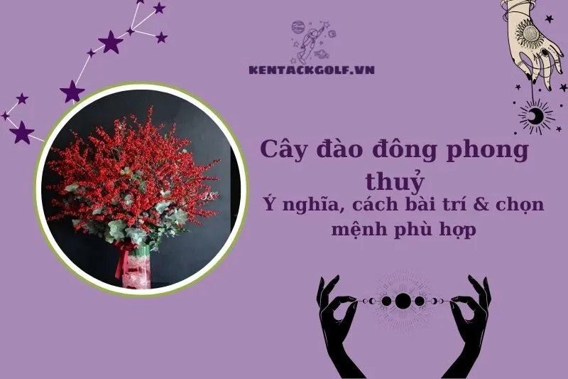 Cây đào đông phong thủy: Ý nghĩa, cách bài trí và hợp mệnh