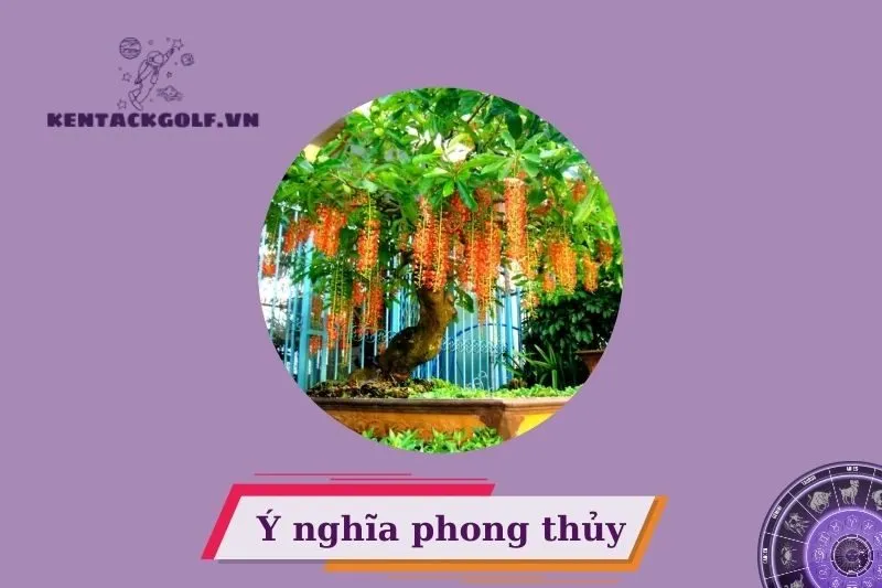 Ý nghĩa phong thủy của cây lộc vừng