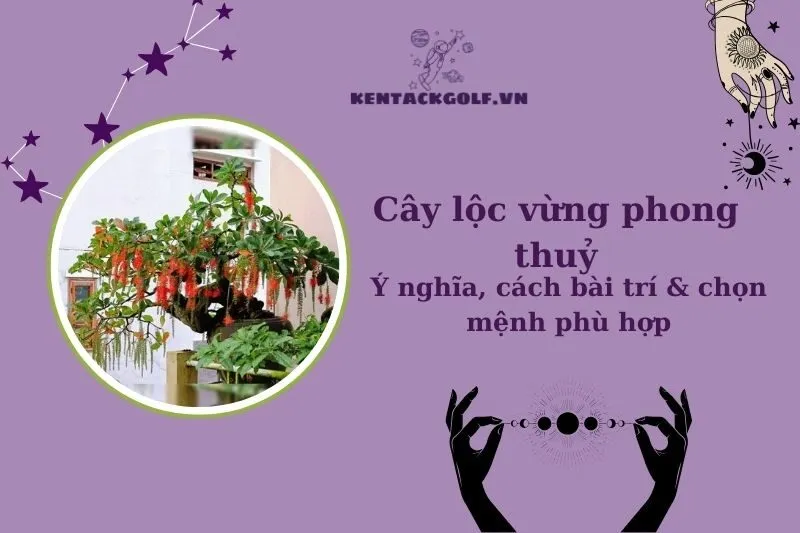 Cây lộc vừng phong thủy hợp mệnh gì? Ý nghĩa & cách trồng đúng cách