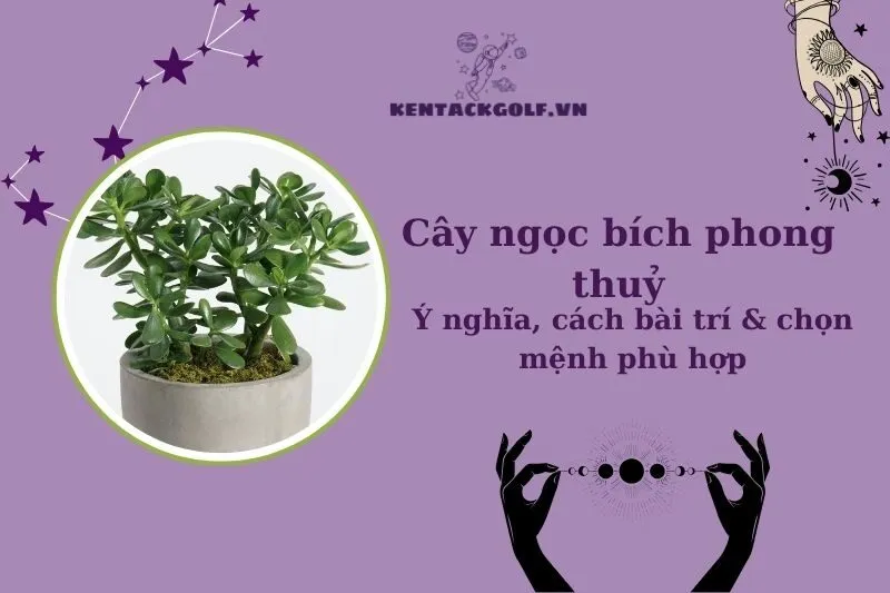 Cây ngọc bích phong thủy: Ý nghĩa, công dụng và cách chăm sóc