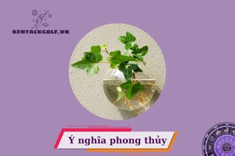 Cây thường xuân phong thủy có ý nghĩa gì?