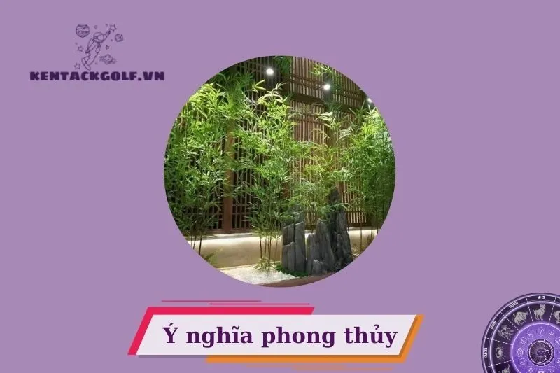 Cây trúc quân tử phong thủy là gì?