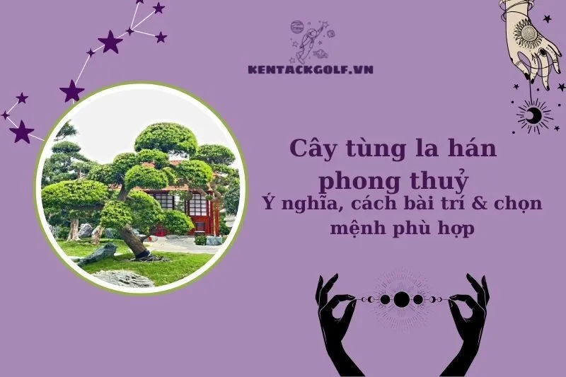 Cây Tùng La Hán Phong Thủy: Ý Nghĩa, Cách Chọn, Trồng và Chăm Sóc
