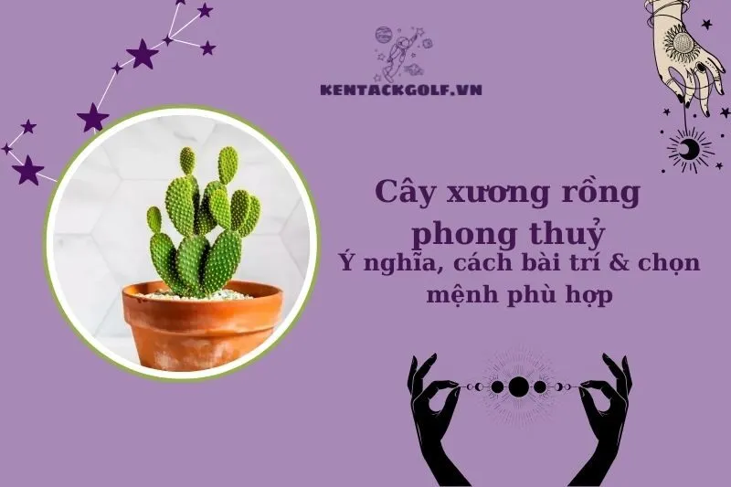 Cây xương rồng phong thủy: Ý nghĩa, hợp mệnh nào, đặt ở đâu tốt?